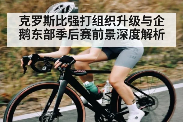 克罗斯比强打组织升级与企鹅东部季后赛前景深度解析